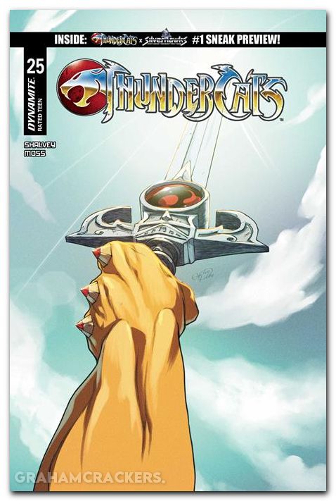 Thundercats #25 (2024) cover d pilliu variant
