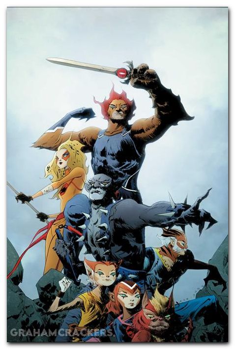 Thundercats #25 (2024) cover i lee virgin variant