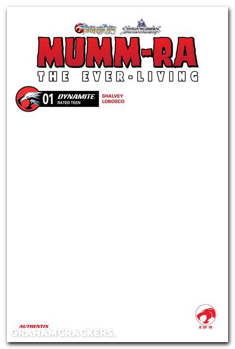 Mumm-Ra The Ever-Living #1 (2026) cover f blank variant