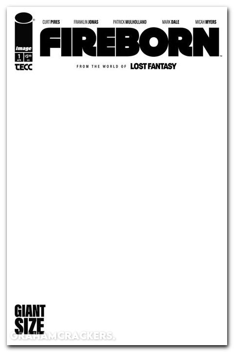 Fireborn #1 (2026) cover e blank variant