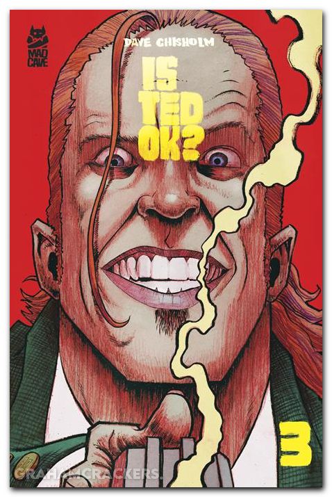 Is Ted Ok #3 (2026) cover a