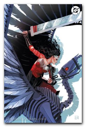 Absolute Wonder Woman #8 (2024) cover e hans variant