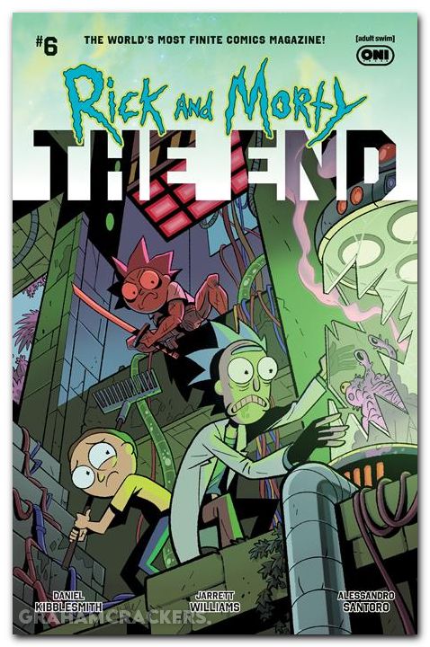 Rick And Morty The End #6 (2025) cover b little variant