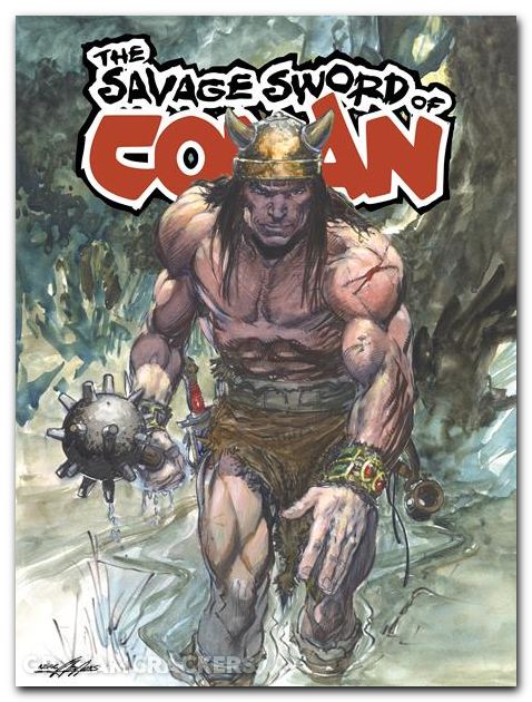 Savage Sword Of Conan #9 (2024) cover a