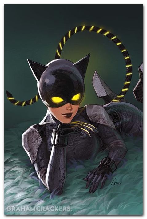Absolute Catwoman #2 (2026) cover b leirix variant