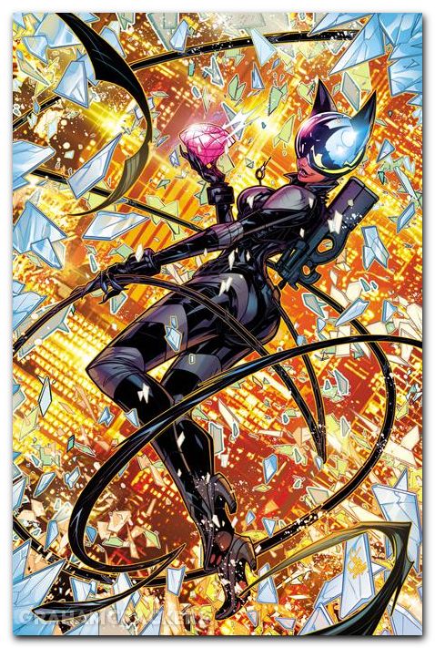 Absolute Catwoman #2 (2026) cover d meyers variant