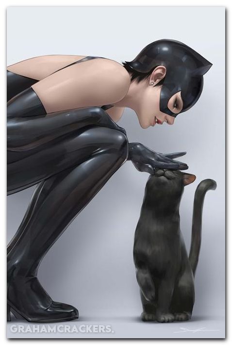 Catwoman #89 (2018) cover c lee variant