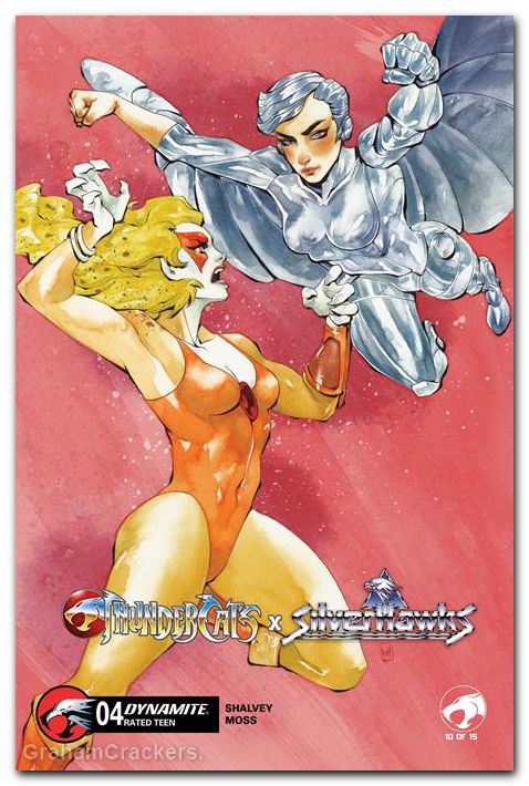 Thundercats X Silverhawks #4 (2026) cover d hill variant