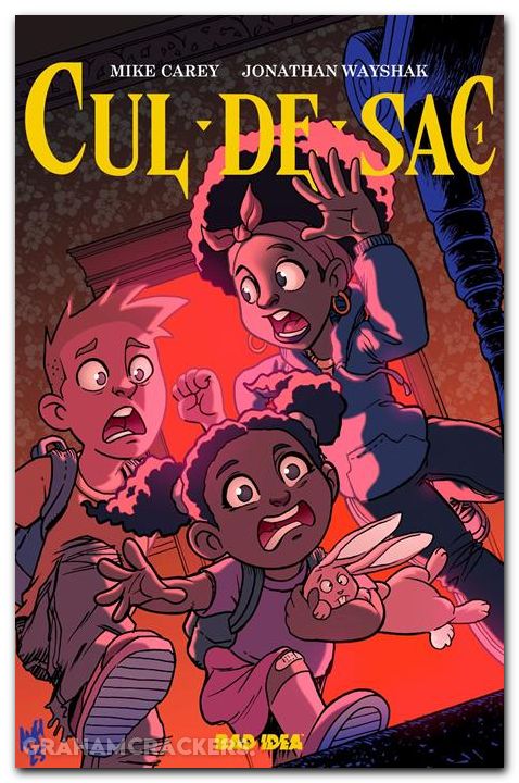Cul De Sac #1 (2025) cover b fleecs cursed mirror variant