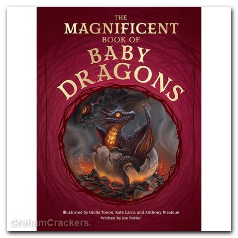 Magnificent Book Of Baby Dragons HC #01