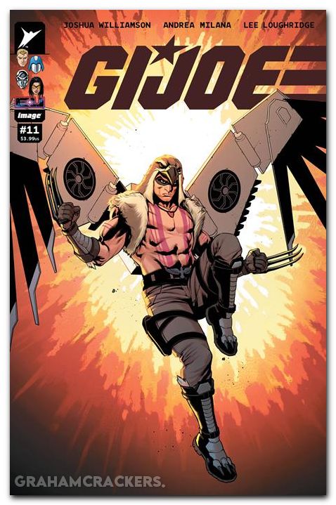 GI Joe #11 (2024) cover d meyer variant