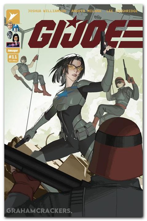 GI Joe #11 (2024) cover e aka variant