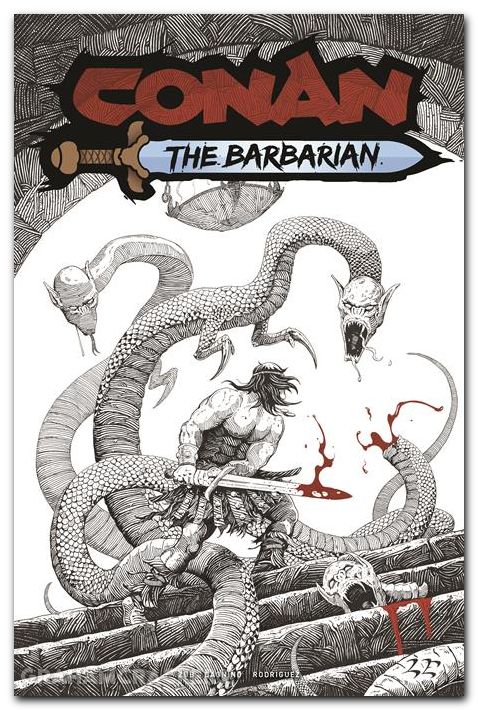 Conan The Barbarian #24 (2023) cover b eidenschink variant