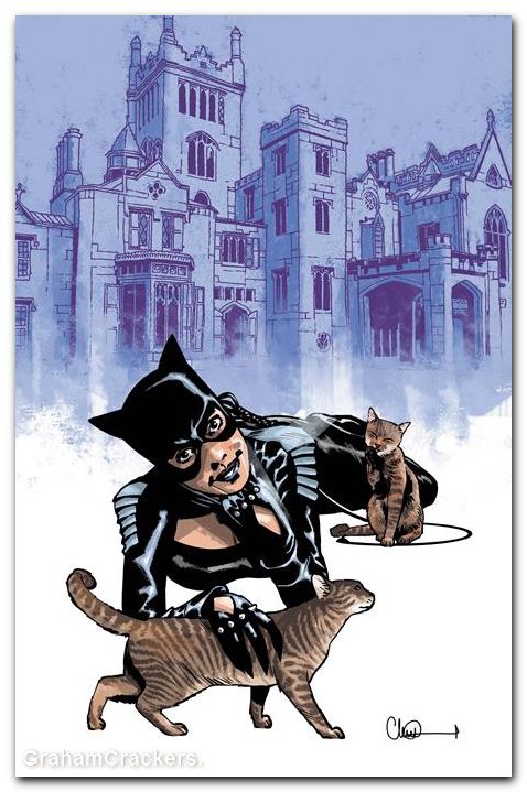 Catwoman #91 (2018) cover c adlard variant