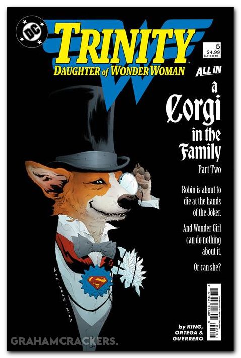 Trinity Daughter Of Wonder Woman #5 (2025) cover c lee variant