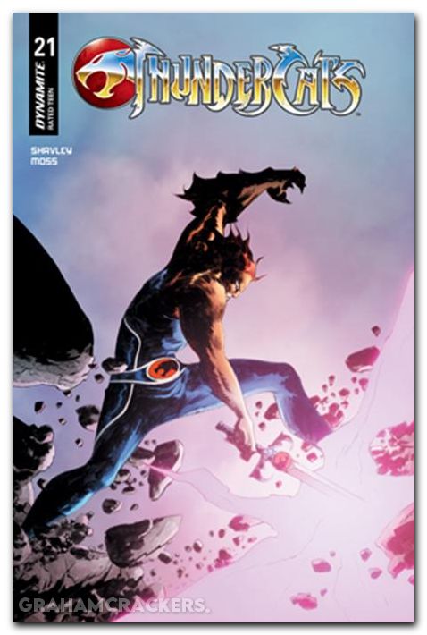 Thundercats #21 (2024) cover c lee variant