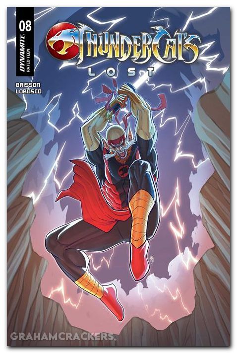 Thundercats Lost #8 cover b cardona variant