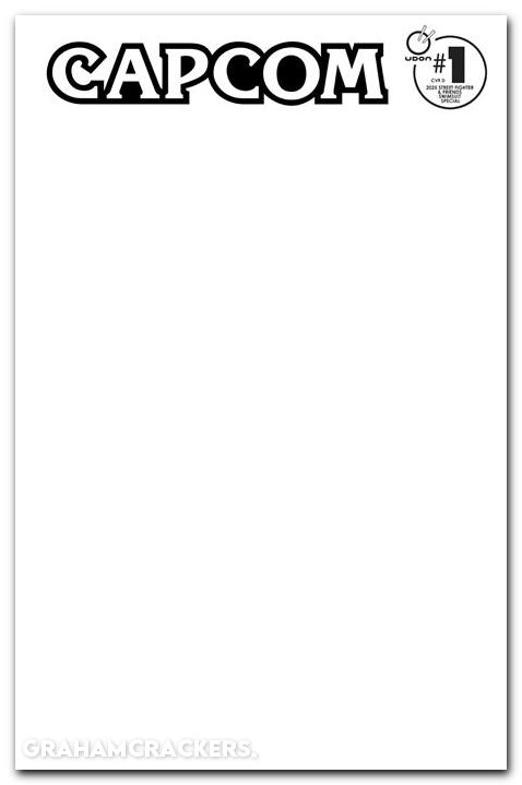 Street Fighter And Friends Swimsuit Special #1 (2025) cover d blank variant