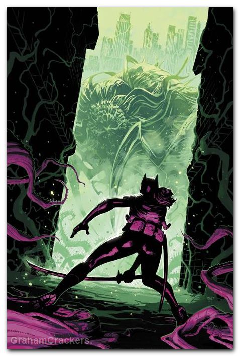 Batgirl #24 (2024) cover a