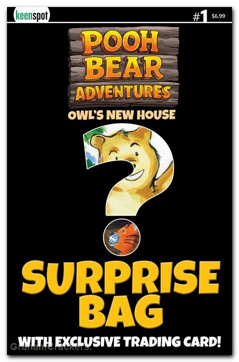 Pooh Bear Adventures Owls New House #1 (2026) cover d surprise bagged variant