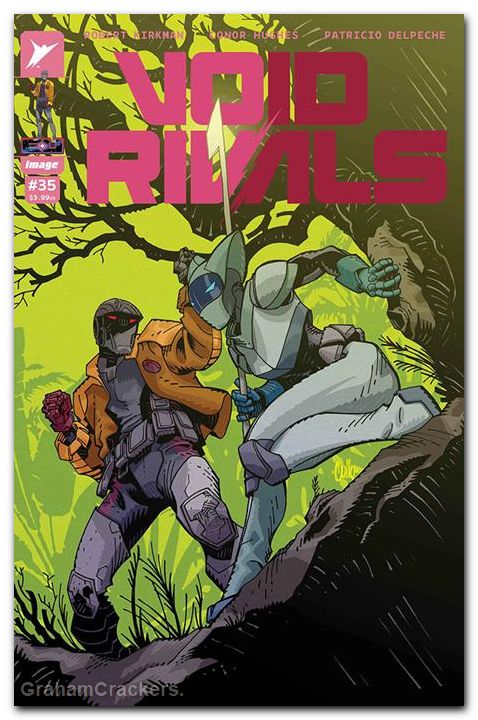 Void Rivals #35 cover c hamner variant