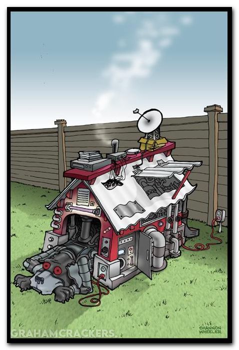 Death Dog #1 (2025) cover b wheeler unlockable variant