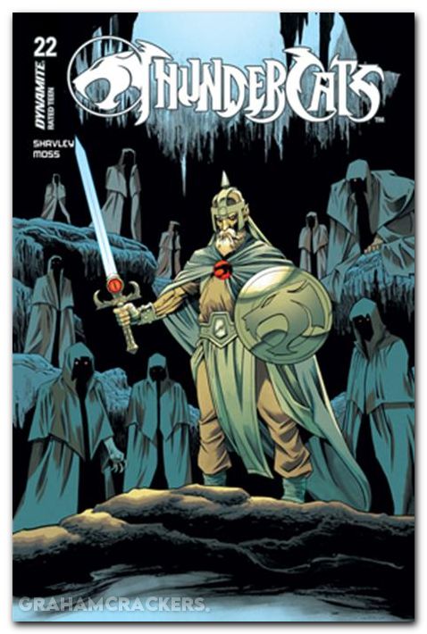 Thundercats #22 (2024) cover b shalvey variant