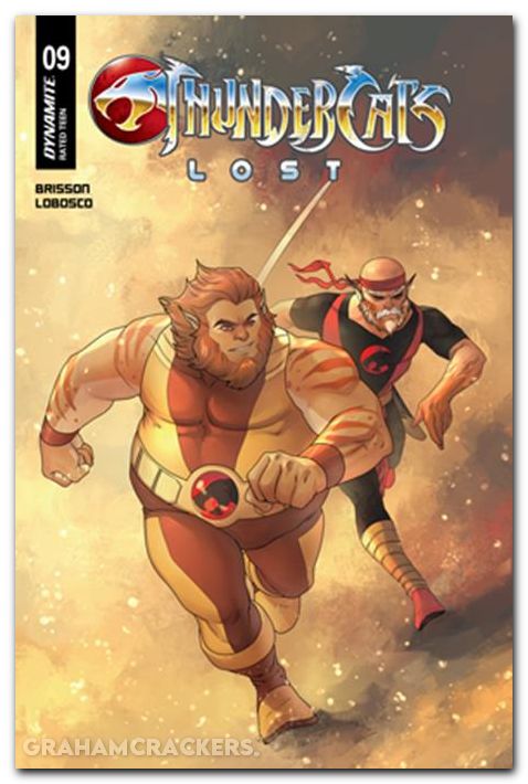 Thundercats Lost #9 cover c hetrick variant