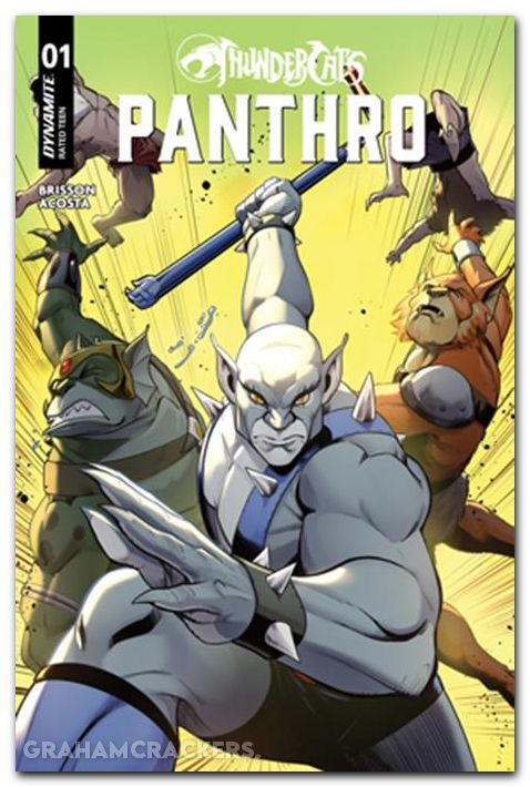 Thundercats Panthro #1 (2025) cover c quinn variant