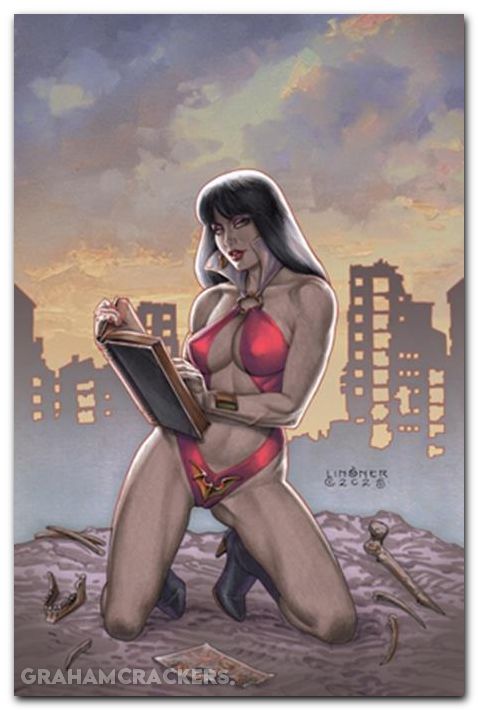 Vampirella Armageddon #5 (2025) cover g linsner virgin variant