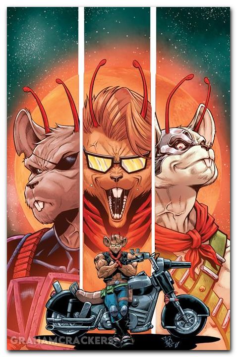 Biker Mice From Mars #6 (2025) cover d taragona b&w virgin variant