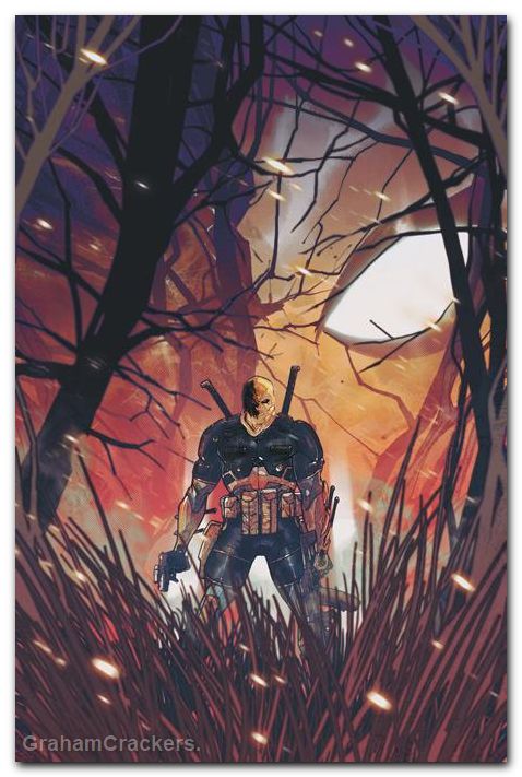 Deathstroke The Terminator #9 (2026) cover a
