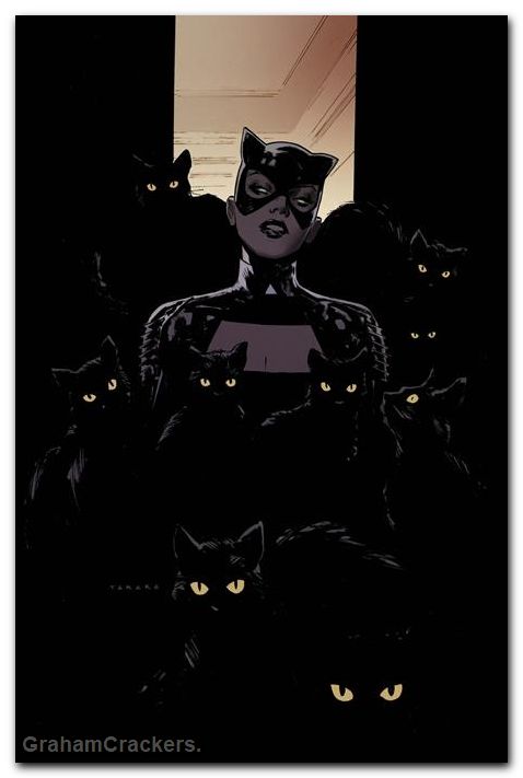 Catwoman #93 (2018) cover b takara variant