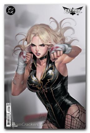 Black Canary Best Of The Best #2 (2024) cover b leirix variant