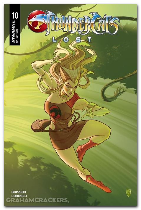 Thundercats Lost #10 cover b cardona variant