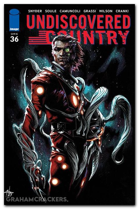 Undiscovered Country #36 cover b dellotto variant