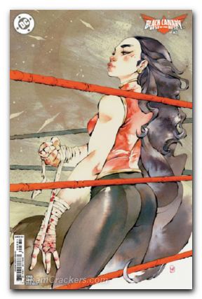Black Canary Best Of The Best #3 (2024) cover c hill variant