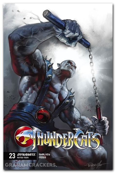 Thundercats #23 (2024) cover a