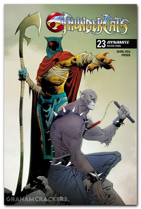 Thundercats #23 (2024) cover c lee variant