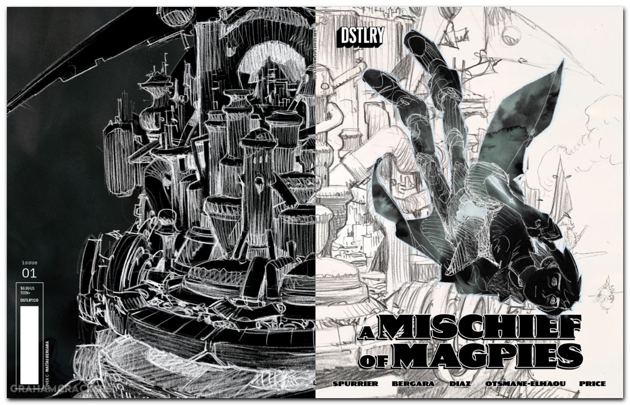 A Mischief Of Magpies #1 (2026) cover c bergara variant