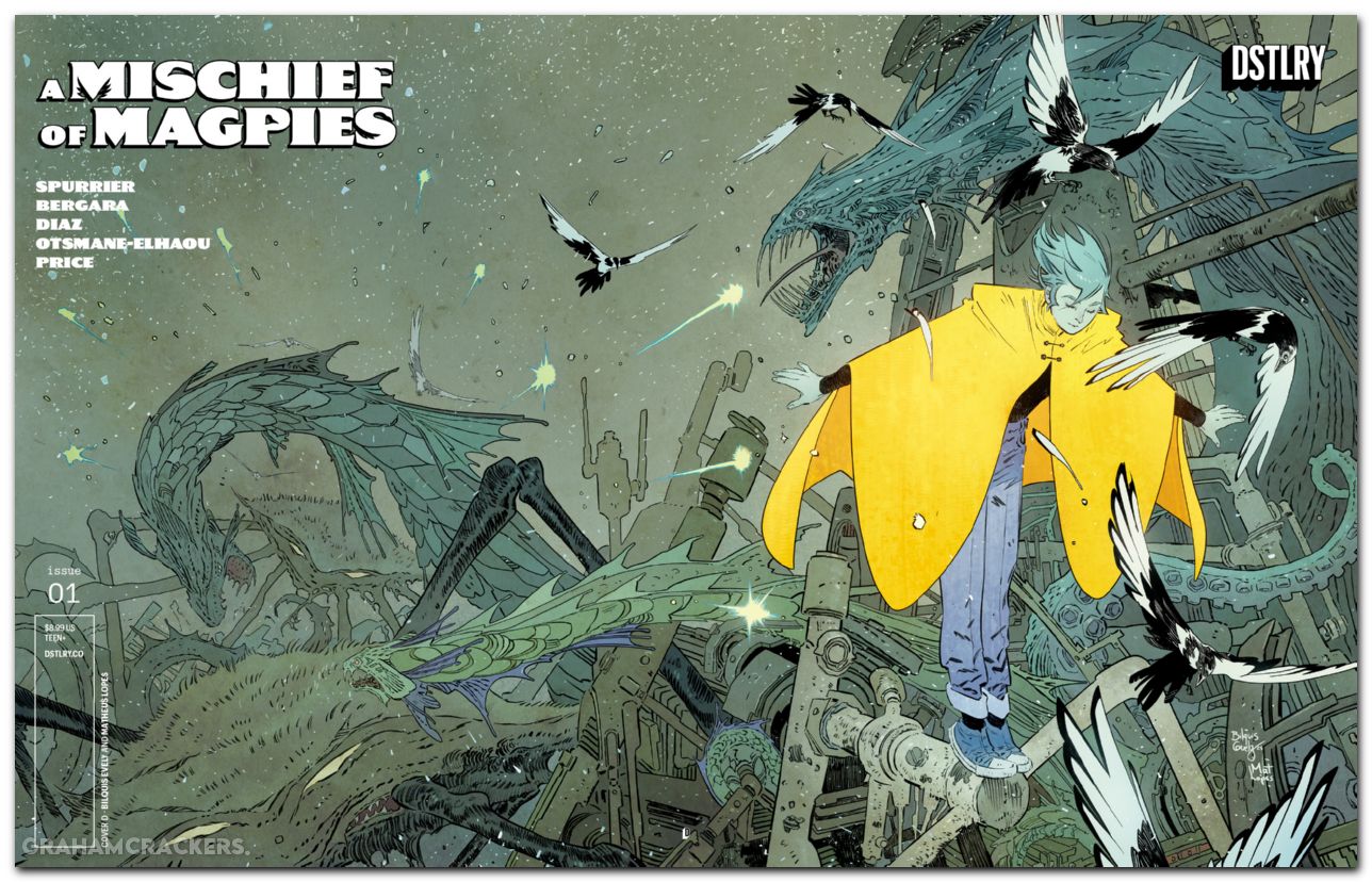 A Mischief Of Magpies #1 (2026) cover d evely variant