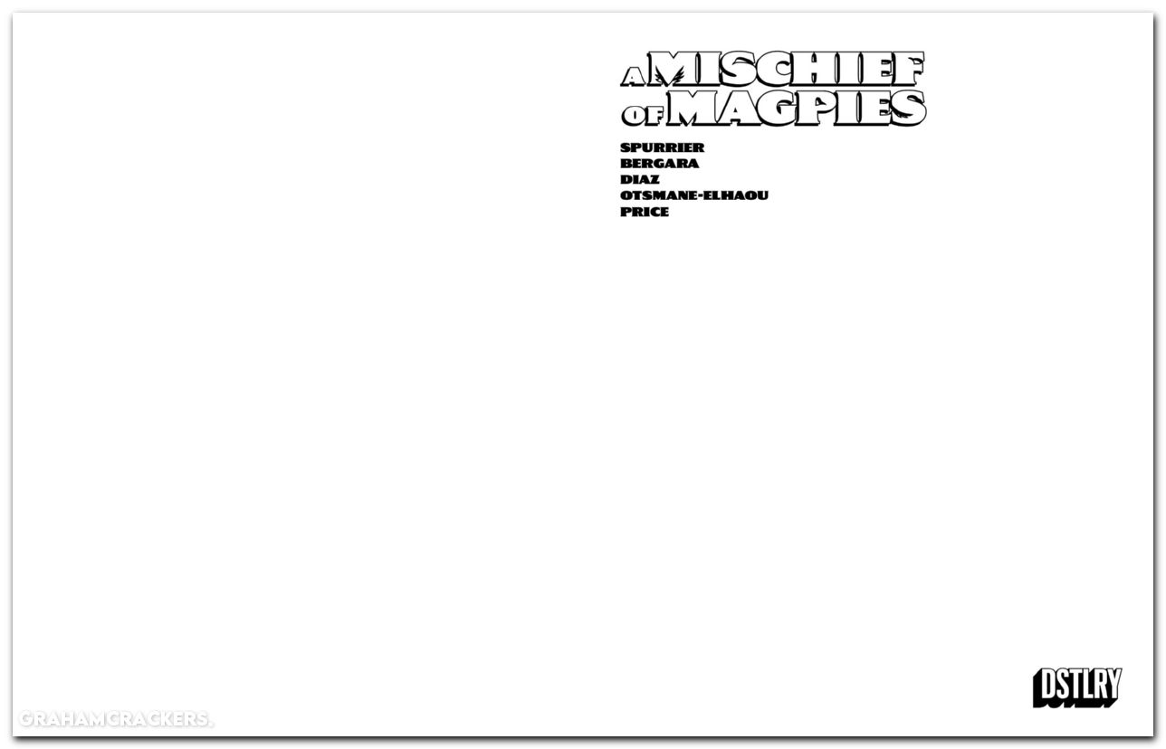 A Mischief Of Magpies #1 (2026) cover f blank sketch variant