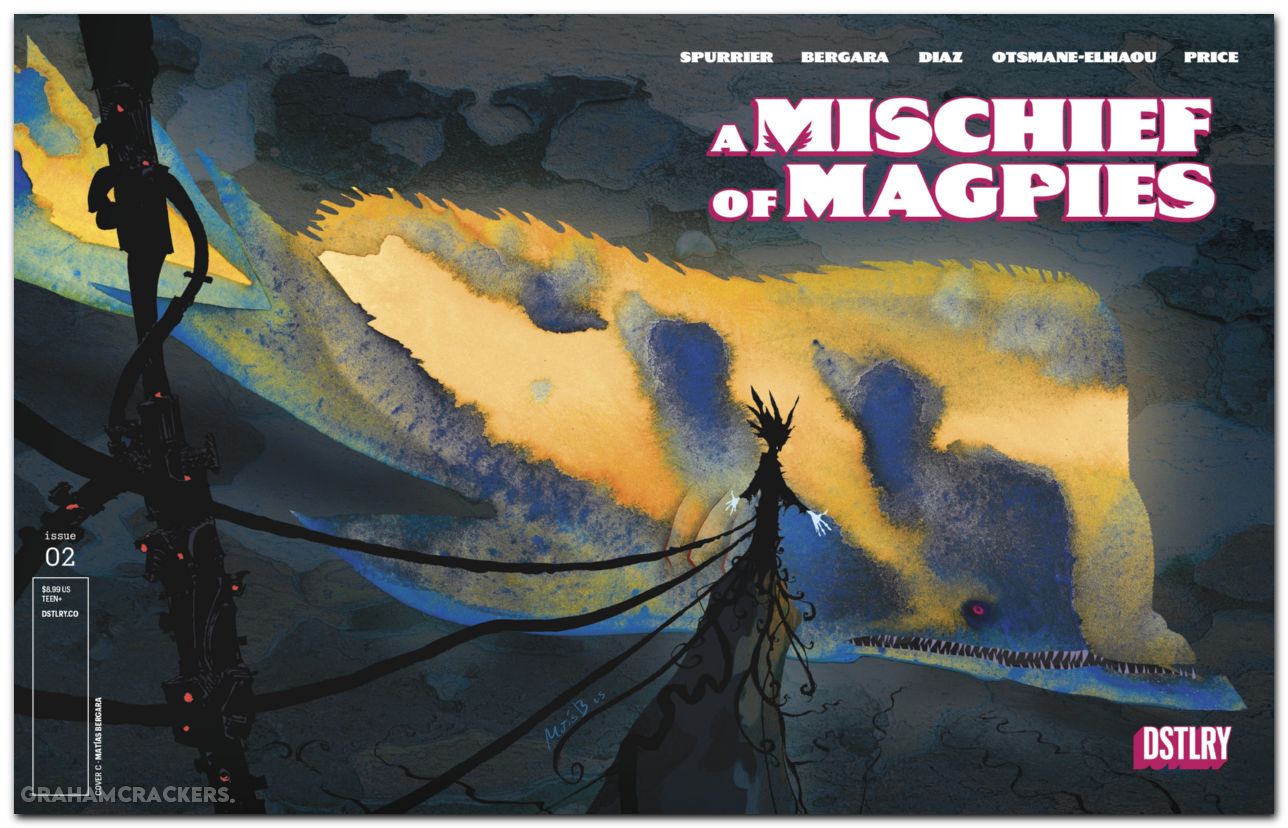 A Mischief Of Magpies #2 (2026) cover c bergara variant