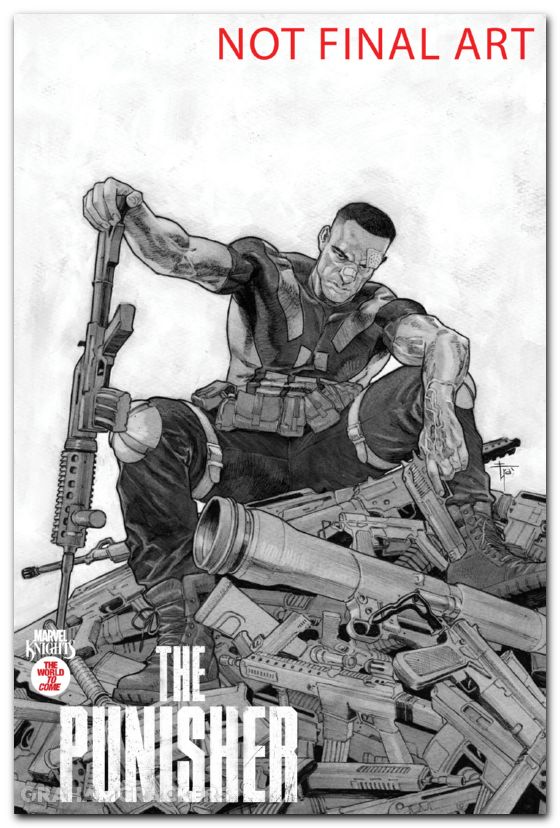 Marvel Knights Punisher #2 (2025) mobili variant