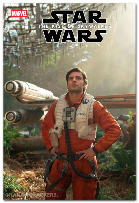Star Wars Rise Of Skywalker Adaptation #4 (2025) movie variant