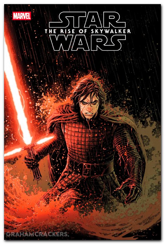 Star Wars Rise Of Skywalker Adaptation #4 (2025) ross variant