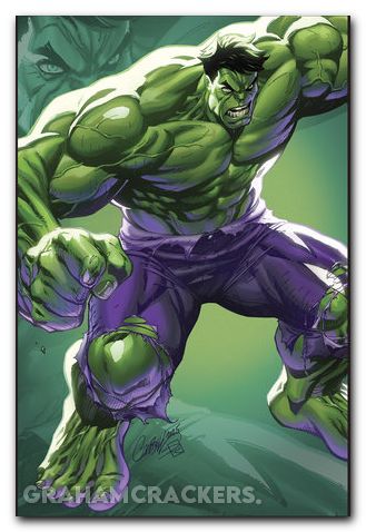 Incredible Hulk #28 (2023) campbell virgin variant
