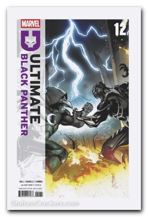 Ultimate Black Panther #12 (2024)