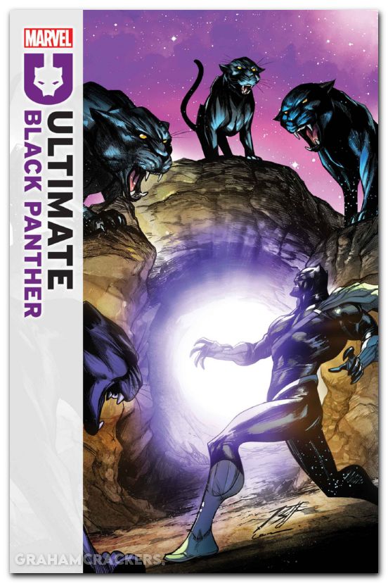 Ultimate Black Panther #20 (2024)