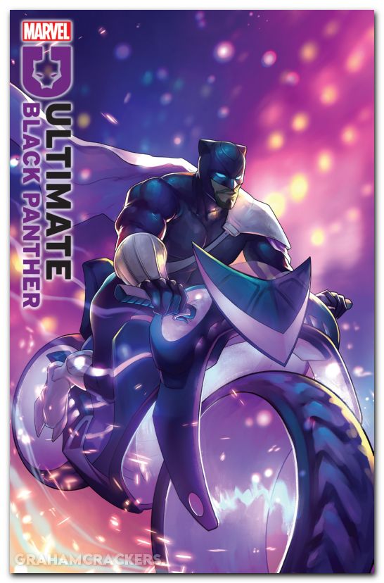 Ultimate Black Panther #21 (2024) hetrick variant